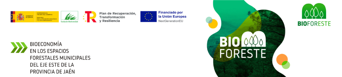 Cabecera proyecto BIOFORESTE generica
