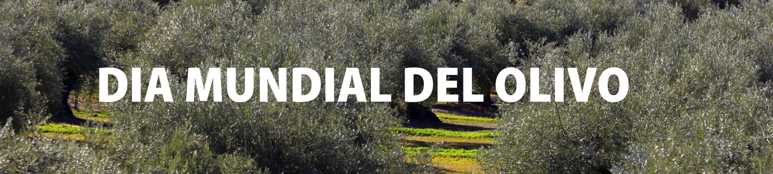 Banner día mundial del Olivo - Talleres